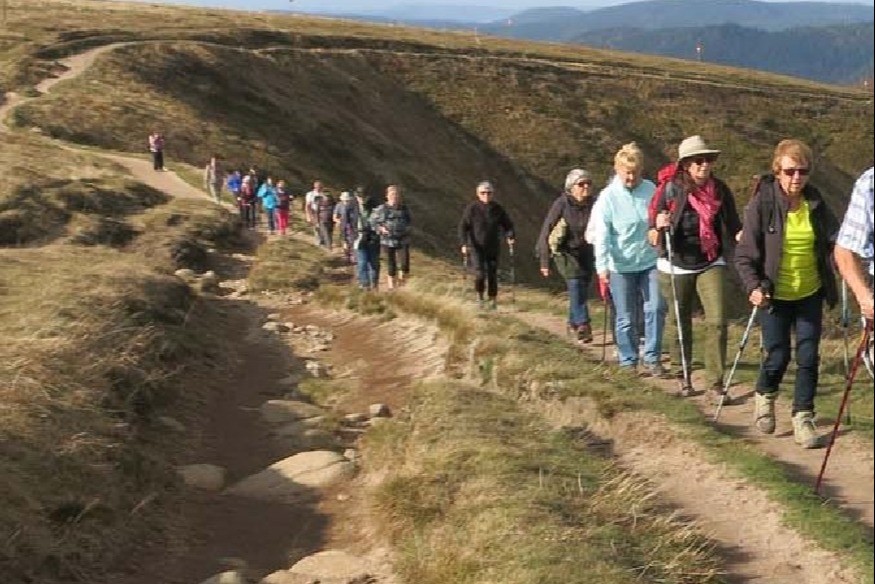 Vallée de Munster : Le Club Vosgien rouvre ses sentiers de randonnée