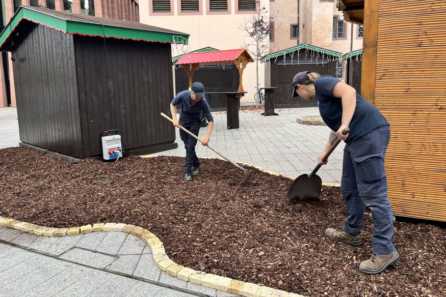 Dans les coulisses de Noël à Sélestat #1 : Les petites mains qui font briller la cité humaniste