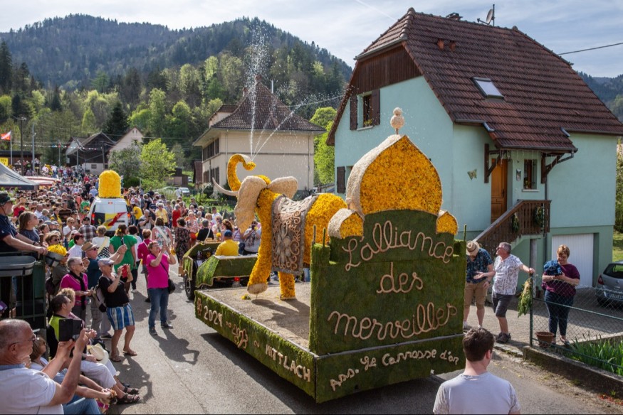 Mittlach : Election de la reine des Jonquilles